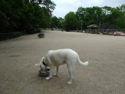 Lakewood Dog Park